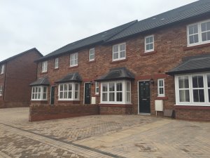 Goldington Drive
